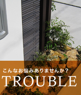 01_trouble.jpg