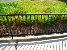 s-IMG_1650.jpg